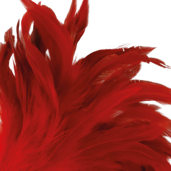 Darkness Red Feather 24cm