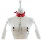Leather Collar With Nipple Clamps Red