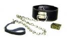 Leather Collar With Leash